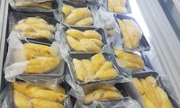 越南首次向中国出口冷冻榴莲
