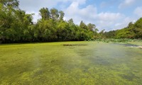 后江省龙玉皇植物园和野生动物收容救护站