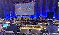 越南再次当选为联合国教科文组织政府间公约委员会成员