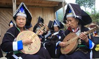 圆琴——岱依族巴迪人的文化精髓