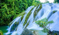 到宣光省板巴瀑布体验“森林浴”、欣赏越北山林之美