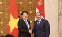 越南-埃及关系提升为全面伙伴关系