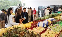 越南水果在中国市场大受欢迎