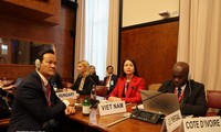 越南在联合国贸易和发展会议部长级会议上提出三项政策建议