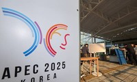 越南积极为APEC做出贡献