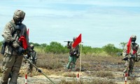 Media massa AS menyambut partisipasinya negara ini dalam membersihkan agen oranye/dioxin di Vietnam