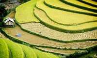 Sawah Terasering Hoang Su Phi di provinsi Ha Giang mendapat pengakuan sebagai warisan nasional