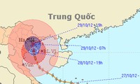 Semua daerah mengatasi akibat Taufan Son Tinh