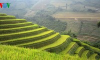 Kabupaten Mu Cang Chai dan sawah-sawah terasering yang legendaris