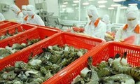 AS menetapkan untuk sementara bahwa udang eks Vietnam tidak melakukan dumping