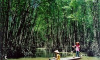 Provinsi Ca Mau mengadakan upacara penerimaan piagam pengakuan zona Ramsar