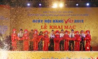 Pembukaan pekan raya “Pesta barang Vietnam - 2013”