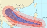 PM Vietnam Nguyen Tan Dung meminta supaya giat mencegah dan menghadapi taufan Haiyan