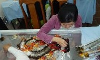 Memperkenalkan seni menyulam tradisional Vietnam