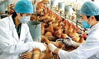 Memperkuat pekerjaan pencegahan dan penanggulangan flu tipe A H7N9