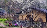 Rumah tradisional etnis minoritas Mong Hoa