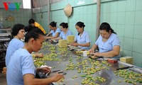 Pembuatan permen kelapa di provinsi Ben Tre