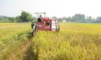 Daerah dataran rendah sungai Mekong memperkuat program promosi investasi ke Jepang