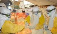 Kuba menyatakan menyelesaikan misi internasional tentang menanggulangi Ebola di Afrika