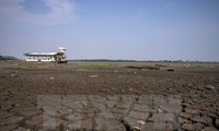 Perancis meletakkan banyak harapan pada Brasil dalam Konferensi COP 21