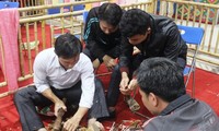 Demonstrasi barang kerajinan tradisional dalam Pekan Raya ke-11 Desa Kerajinan Vietnam - tahun 2015