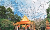 Pagoda-pagoda Khmer yang unik di daerah dataran rendah sungai Mekong