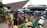 Warga di berbagai kabupaten pulau dengan ramai menyongsong Hari Raya Tet