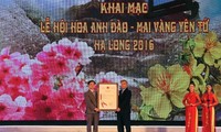 Pembukaan Festival Bunga Sakura dan Meihoa Kuning Yen Tu, Ha Long 2016