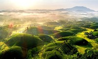 Phu Tho: le charme des collines de Long Côc