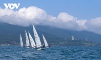 Les voiles blanches à Da Nang