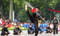  Das vietnamesische Kungfu-Festival hinterlässt einen guten Eindruck 