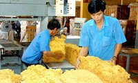 Thailand will mit Vietnam im Kautschuk-Export zusammenarbeiten