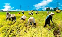 Feier zum Welt- Ernährungstag