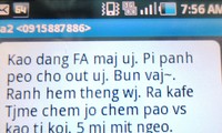 Junge Vietnamesen und die vietnamesische Sprache zur Zeit der Welteingliederung