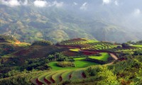 Tausende Touristen besuchen Lao Cai zum 110. Jahrestag des Tourismus Sapa 