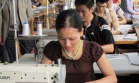 Mehr als 11.000 vietnamesische Arbeiter werden in Südkorea arbeiten