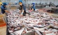 Strafzölle gegen Pangasius aus Vietnam soll fair sein