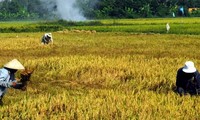 Verstärkung der Zusammenarbeit zwischen Vietnam und Sudan 