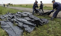 Politische Interessen hinter MH17-Tragödie