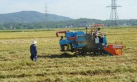 Kreis Hoa Vang der Stadt Da Nang: Lichtpunkt in Neugestaltung ländlicher Räume