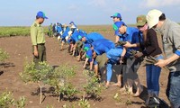 Vietnam fördert den neuen globalen gesetzlichen Rahmen über Klimaänderungen