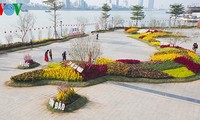 Landkarte aus Blumen am Han-Fluss stellt Rekord Vietnams auf