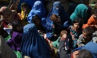 Flüchtlingsfrage: Mehr als 350.000 afghanische Flüchtlinge in Heimat zurückgekehrt