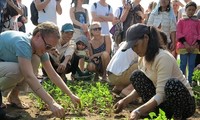 Grüntourismus in Hoi An interessiert Besucher