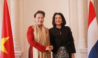 Beziehungen und Zusammenarbeit zwischen Vietnam und Niederlande entwickeln sich stark