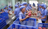 Gewährleistung der Stellung vietnamesischer Landwirtschaftsprodukte auf Südkorea-Markt