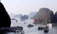 6. Sitzung zur  “Halong-Cat Ba-Allianz” Initiative