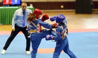 Vietnam verteidigt den Meistertitel beim Vovinam-Weltmeisterschaft