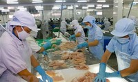 Potenziale von vietnamesischen Meeresfrüchten zum Export in die EU