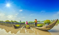 Verbesserung der Wettbewerbsfähigkeit des Mekong-Deltas